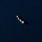 Shooting Star Ear Climber