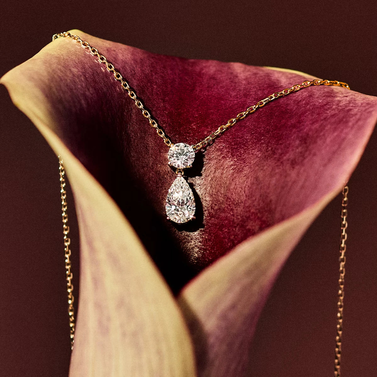 Signature Duo Drop Necklace
