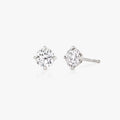 Stud Earrings
